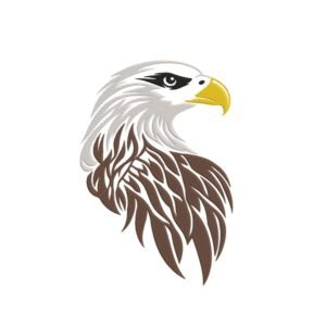Bald Eagle Machine Embroidery Design, Bird Embroidery File