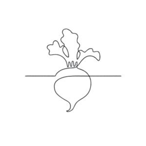 Beetroot Outline Machine Embroidery Design, Spring Season Embroidery File
