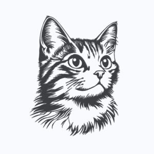 One Color Tabby Cat Machine Embroidery Design, Kitten Embroidery File