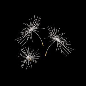 Dandelion Trio Machine Embroidery Design, Flower Embroidery File