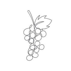 Grapes Outline Machine Embroidery Design, Minimalist Kitchen Line Art Embroidery File
