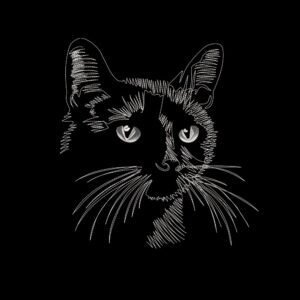Hand Drawn Black Cat Machine Embroidery Design, Kitten Embroidery File