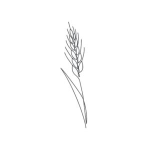 Linear Wheat Branch Machine Embroidery Design, Flower Outline Embroidery File