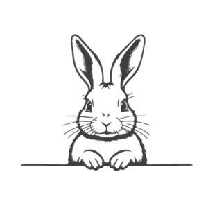 Cute Rabbit Machine Embroidery Design, Minimalist Bunny Outline Embroidery File